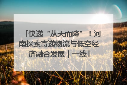 快递“从天而降”！河南探索寄递物流与低空经济融合发展｜一线