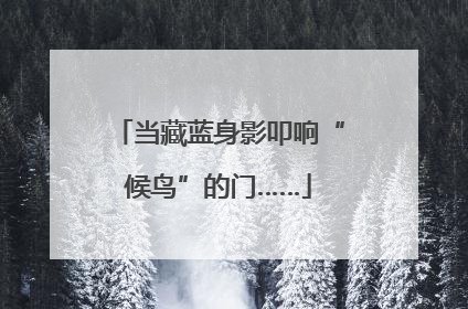 当藏蓝身影叩响“候鸟”的门……