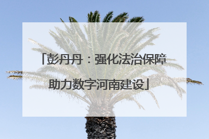 彭丹丹：强化法治保障 助力数字河南建设