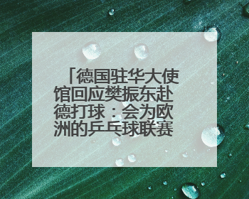 德国驻华大使馆回应樊振东赴德打球：会为欧洲的乒乓球联赛带来新的光彩
