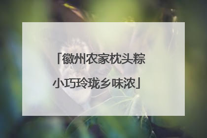 徽州农家枕头粽 小巧玲珑乡味浓