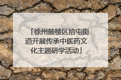 徐州鼓楼区拾屯街道开展传承中医药文化主题研学活动