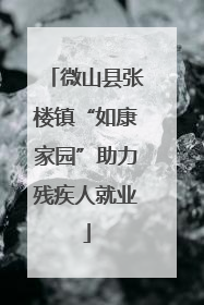 微山县张楼镇“如康家园”助力残疾人就业