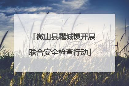 微山县驩城镇开展联合安全检查行动