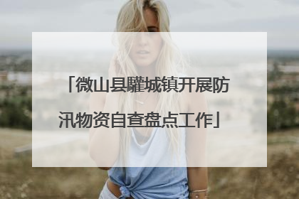 微山县驩城镇开展防汛物资自查盘点工作