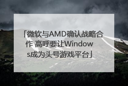微软与AMD确认战略合作 高呼要让Windows成为头号游戏平台