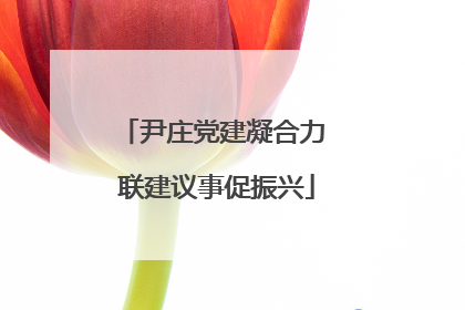 尹庄党建凝合力 联建议事促振兴