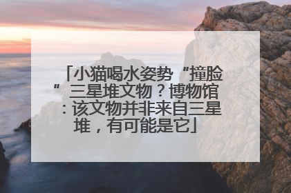 小猫喝水姿势“撞脸”三星堆文物？博物馆：该文物并非来自三星堆，有可能是它