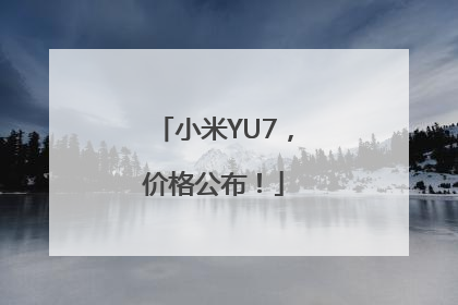 小米YU7，价格公布！