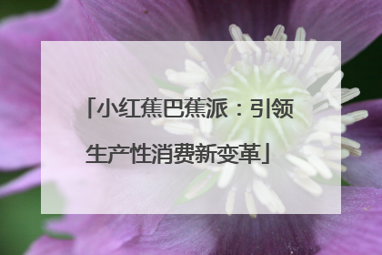 小红蕉巴蕉派：引领生产性消费新变革