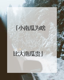 小南瓜为啥比大南瓜贵