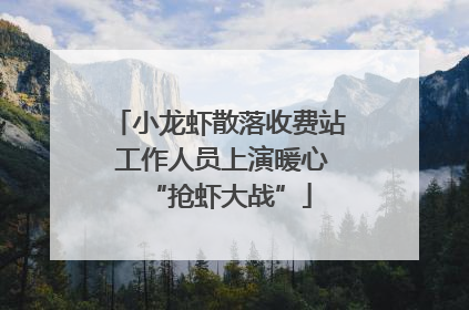 小龙虾散落收费站 工作人员上演暖心“抢虾大战”