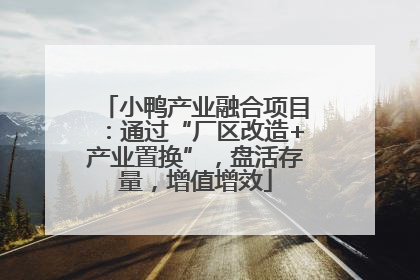 小鸭产业融合项目：通过“厂区改造+产业置换”，盘活存量，增值增效