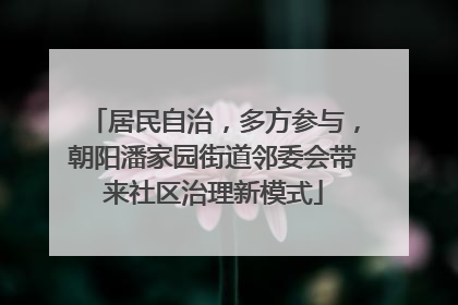 居民自治，多方参与，朝阳潘家园街道邻委会带来社区治理新模式