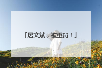 屠文斌，被重罚！