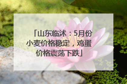 山东临沭：5月份小麦价格稳定，鸡蛋价格震荡下跌