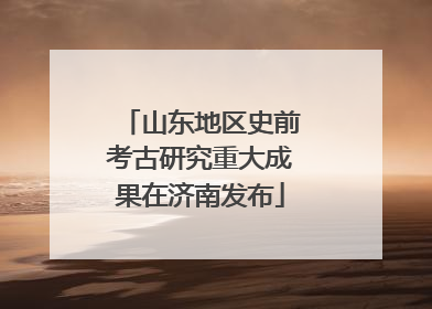 山东地区史前考古研究重大成果在济南发布