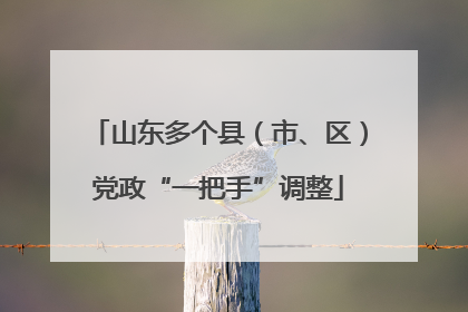 山东多个县（市、区）党政“一把手”调整