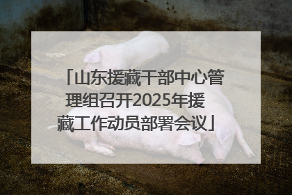 山东援藏干部中心管理组召开2025年援藏工作动员部署会议