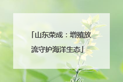 山东荣成：增殖放流守护海洋生态