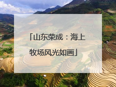 山东荣成：海上牧场风光如画
