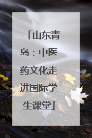 山东青岛：中医药文化走进国际学生课堂