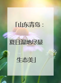 山东青岛：夏日湿地尽显生态美