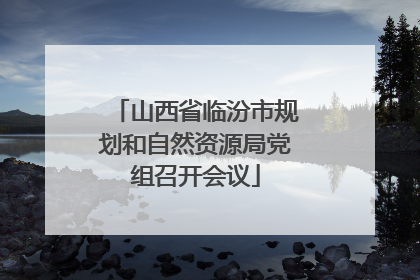 山西省临汾市规划和自然资源局党组召开会议