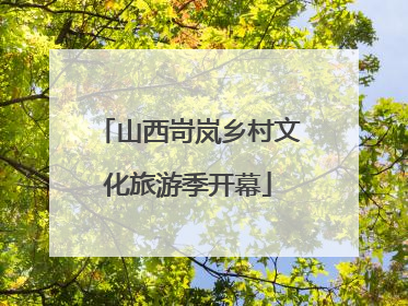 山西岢岚乡村文化旅游季开幕