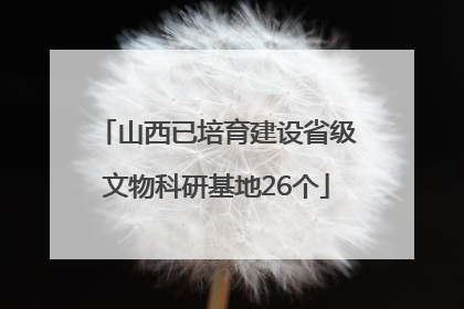 山西已培育建设省级文物科研基地26个