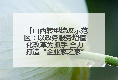 山西转型综改示范区：以政务服务增值化改革为抓手 全力打造“企业家之家”贴心服务体系