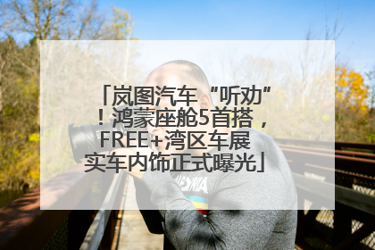 岚图汽车“听劝”！鸿蒙座舱5首搭，FREE+湾区车展实车内饰正式曝光