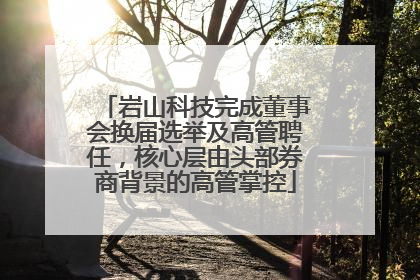 岩山科技完成董事会换届选举及高管聘任，核心层由头部券商背景的高管掌控