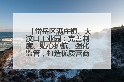 岱岳区满庄镇、大汶口工业园：完善制度、贴心护航、强化监管，打造优质营商“强磁场”