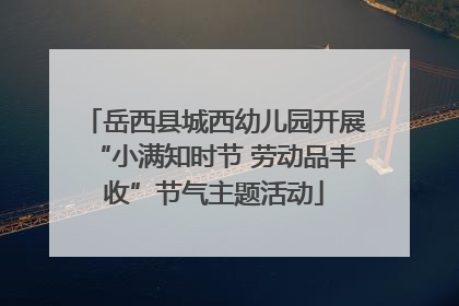 岳西县城西幼儿园开展“小满知时节 劳动品丰收”节气主题活动
