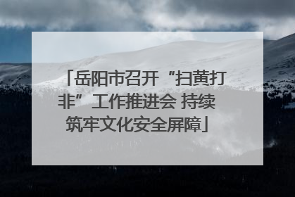 岳阳市召开“扫黄打非”工作推进会 持续筑牢文化安全屏障