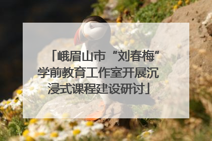 峨眉山市“刘春梅”学前教育工作室开展沉浸式课程建设研讨