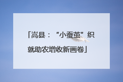 嵩县：“小蚕茧”织就助农增收新画卷