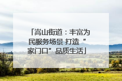 嵩山街道：丰富为民服务场景 打造“家门口”品质生活