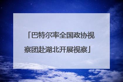 巴特尔率全国政协视察团赴湖北开展视察