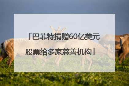 巴菲特捐赠60亿美元股票给多家慈善机构
