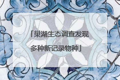 巢湖生态调查发现多种新记录物种