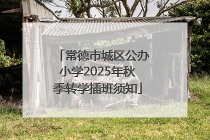 常德市城区公办小学2025年秋季转学插班须知