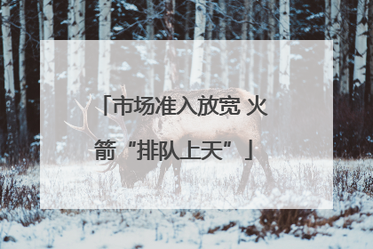 市场准入放宽 火箭“排队上天”