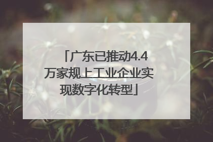 广东已推动4.4万家规上工业企业实现数字化转型