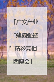 广安产业“建圈强链”精彩亮相西博会