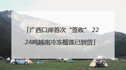 广西口岸首次“签收” 22.24吨越南冷冻榴莲已到货