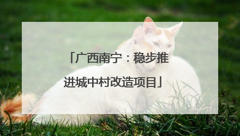 广西南宁：稳步推进城中村改造项目