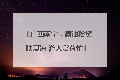 广西南宁：满池粉黛映夏凉 游人赏荷忙