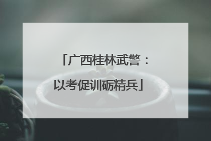 广西桂林武警：以考促训砺精兵